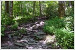 Rocky Trail to Chimney Tops