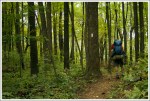 The Appalachian Trail Leaving Harpers Creek
