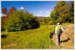 Hillside of Color in Dolly Sods