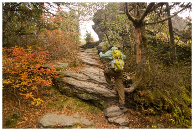 Climbing Up the Grandfather Trail