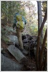 Adam Climbs Down the Underwood Trail