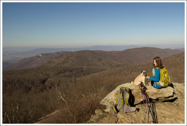 Thanksgiving day view in Shenandoah National Park.