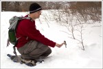 Adam Feeding a Chickadee