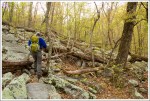 Adam Hiking Fridley Gap Trail