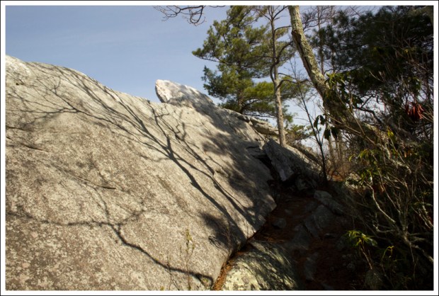 Rocks at Grubbs Overlook