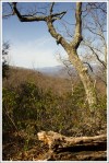 Views Along the Shenandoah Mountain Trail