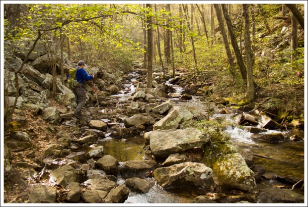 Walking in the Streambed