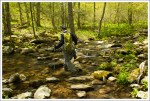 One of Many Stream Crossings