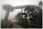 Clingmans Dome Observation Tower in the Fog