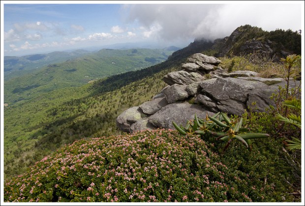 Attic Window Peak View