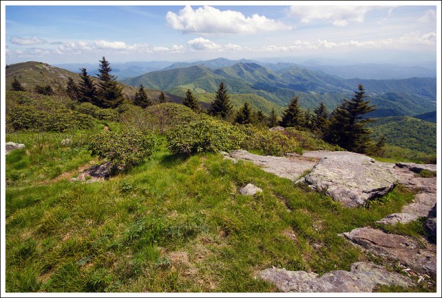 Enjoying Grassy Ridge