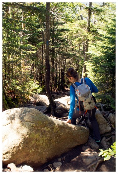 Descending Falling Waters