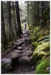 Early on the Ammonoosuc Ravine