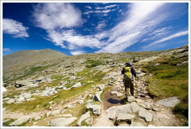 Adam On Crawford Path