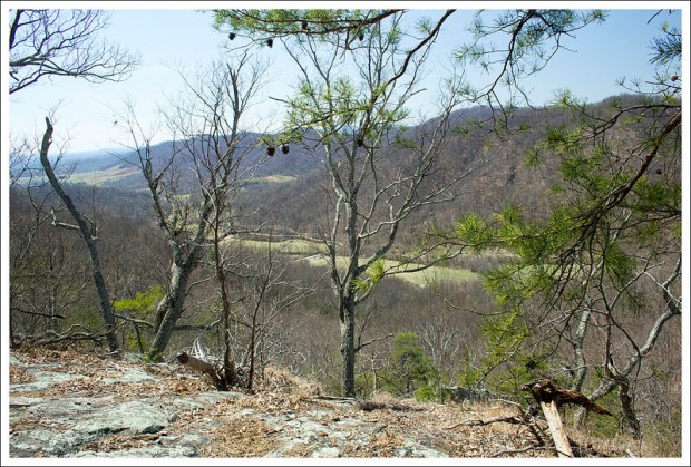 Looking into the Cove