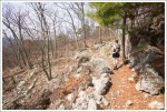 Piney Trail