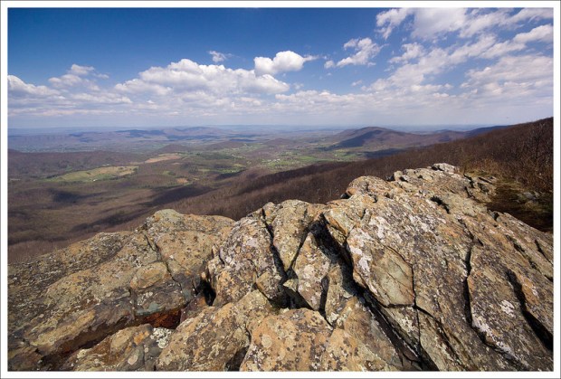 South Marshall Views