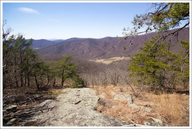 Fortune's Cove Views