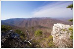 Wilderness View