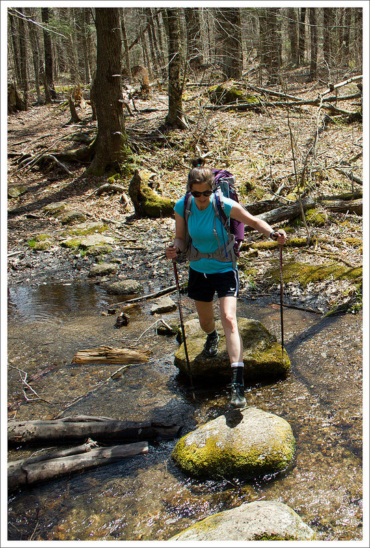 Stream Crossing