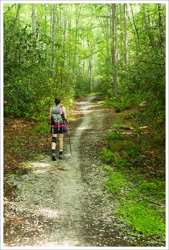 Chasteen Creek Trail