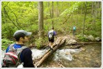 Stream Crossing