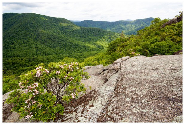 View from Bear Church Rock