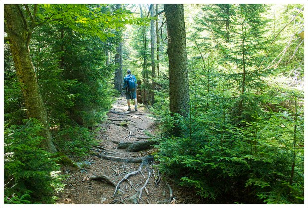 Adam on the Huckleberry Trail