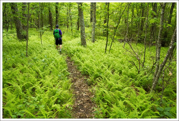 Adam Hiking the Jones Mountain Trail