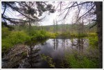 Beaver Dam