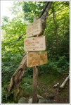New Signs
