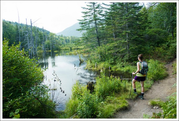 Christine Checks out the Wetlands