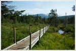 Wetlands