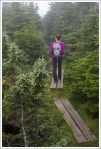 Boardwalks on Webster Cliffs