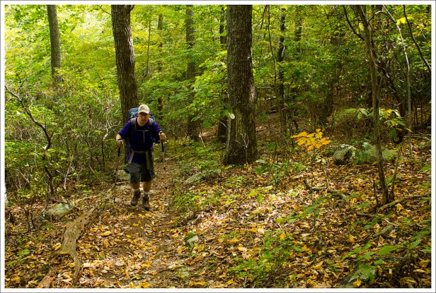 Climbing Rice Mountain
