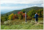 Coming Fall Color on Cole Mountain