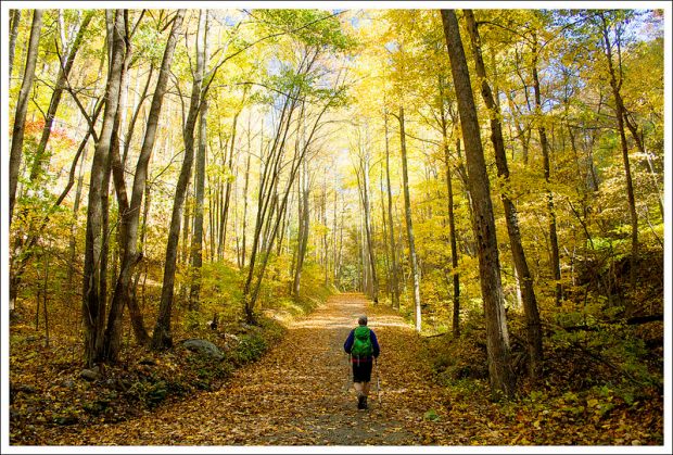 Berry Hollow Fire Road