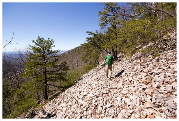 On the Shoulder of Austin Mountain