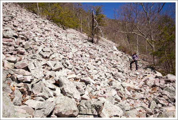 Talus Slopes