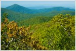 Apple Orchard Summit Views