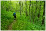Green Descent