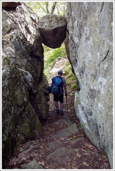 Adam Goes Under the Guillotine