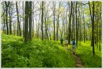Spring Along the Appalachian Trail