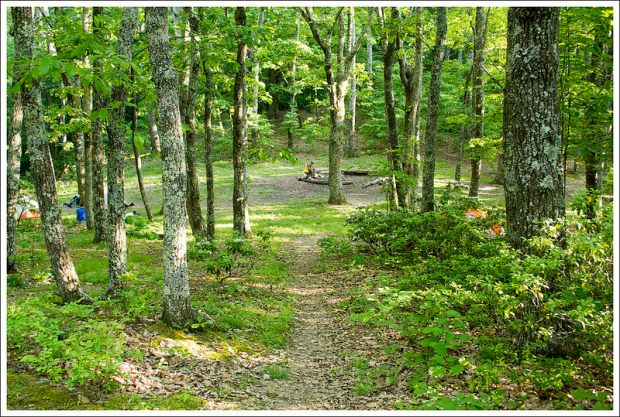 Marble Spring Campsite