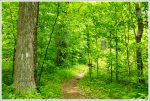 Entering James River Wilderness