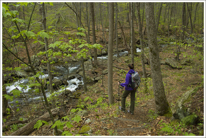 Christine checks out the creek early in the hike.