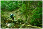 Stream Crossing