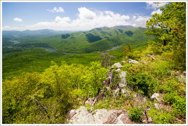 View of the James River