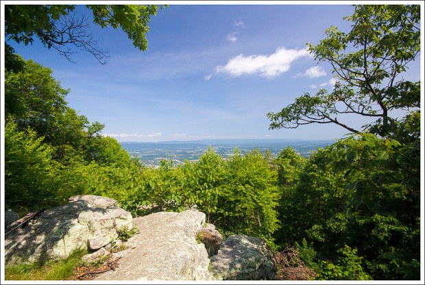 The View from Signal Knob