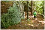 Boulders on Flume Trail